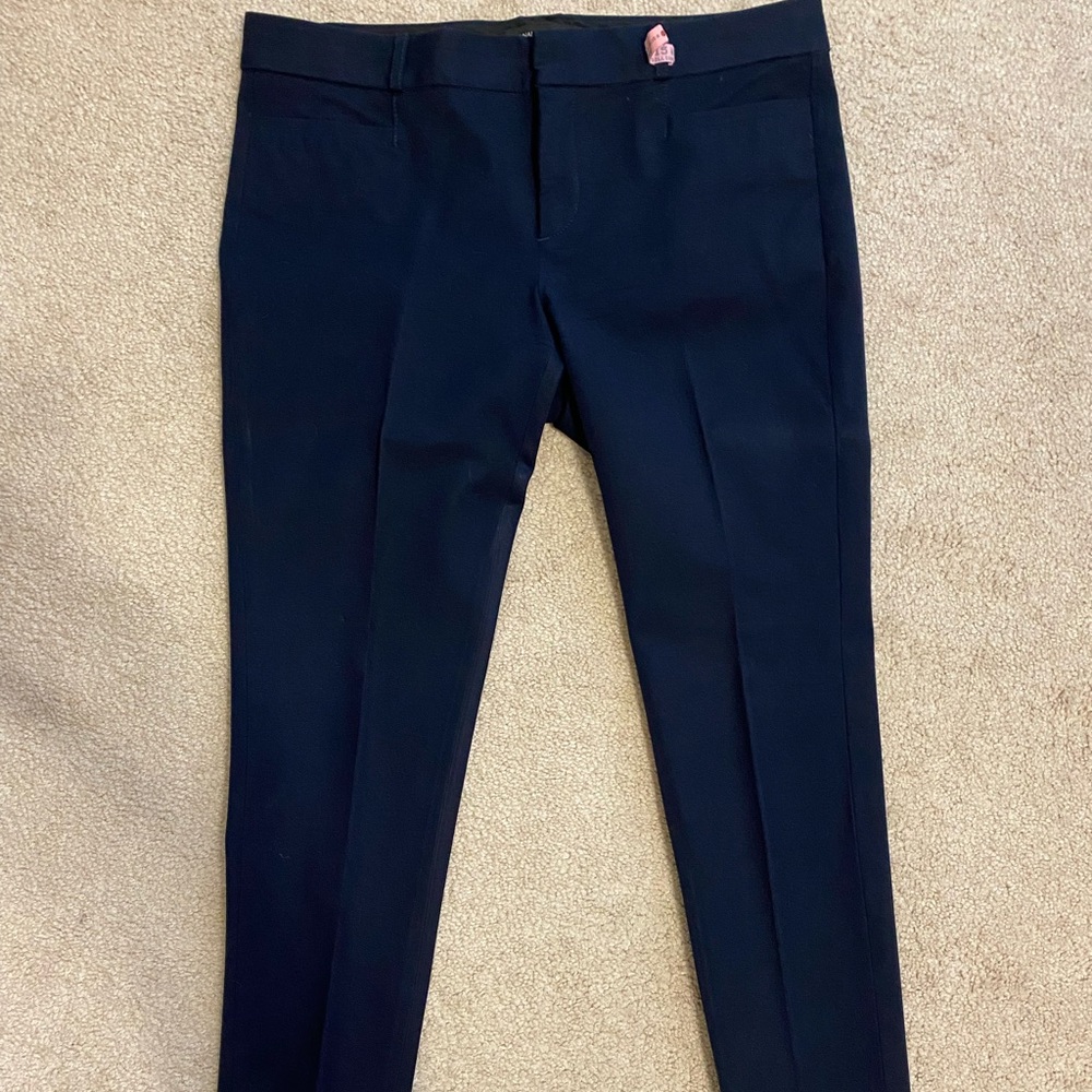 EEUC Banana Republic Navy Sloan Pant